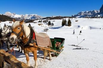 Szczawnica Atrakcja Kulig Stadnina koni Rajd